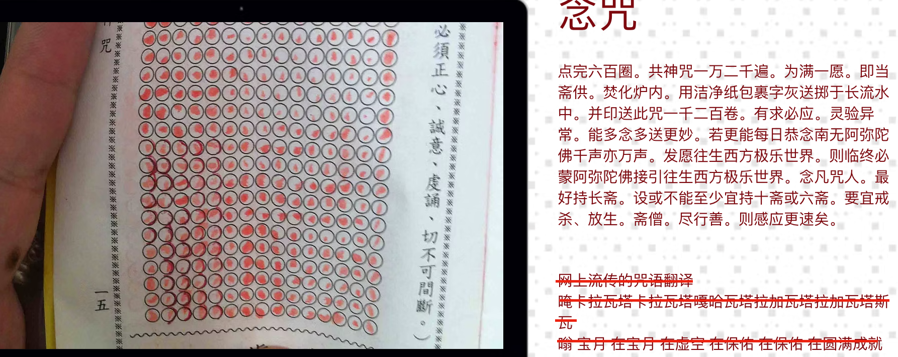 截屏2026-02-19 11.38.34.png